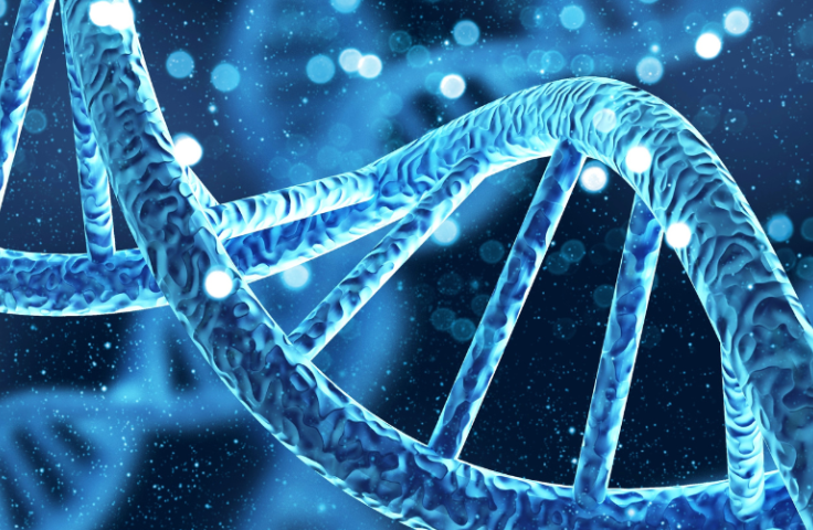 DNA helix