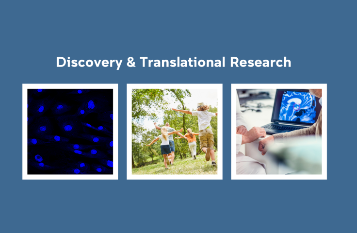 slide with three project images linked to discovery projects