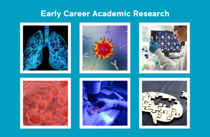 slide with 6 ECR research project images