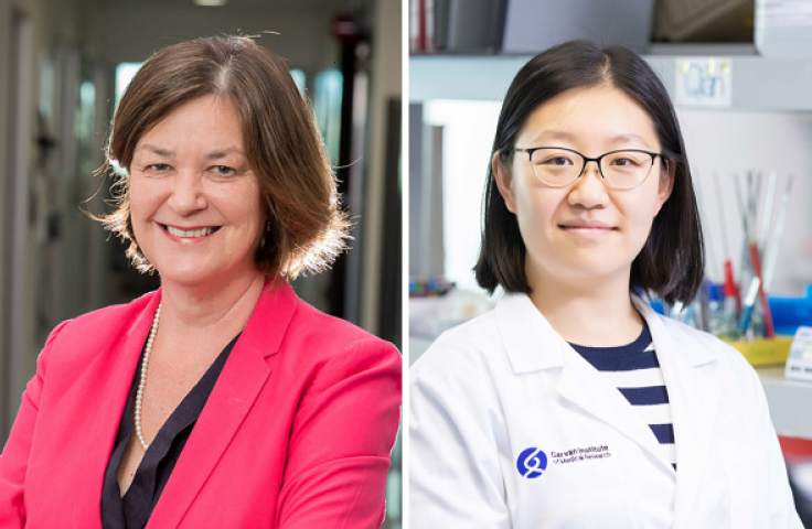Prof Susan Clark, Dr Qian Du