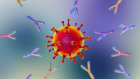 antibodies and b cell