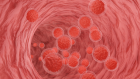 blood stem cells