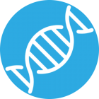 DNA Icon